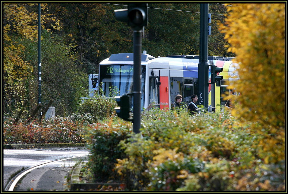 Herbst im Grafenberger Wald.....mit der Rheinbahn