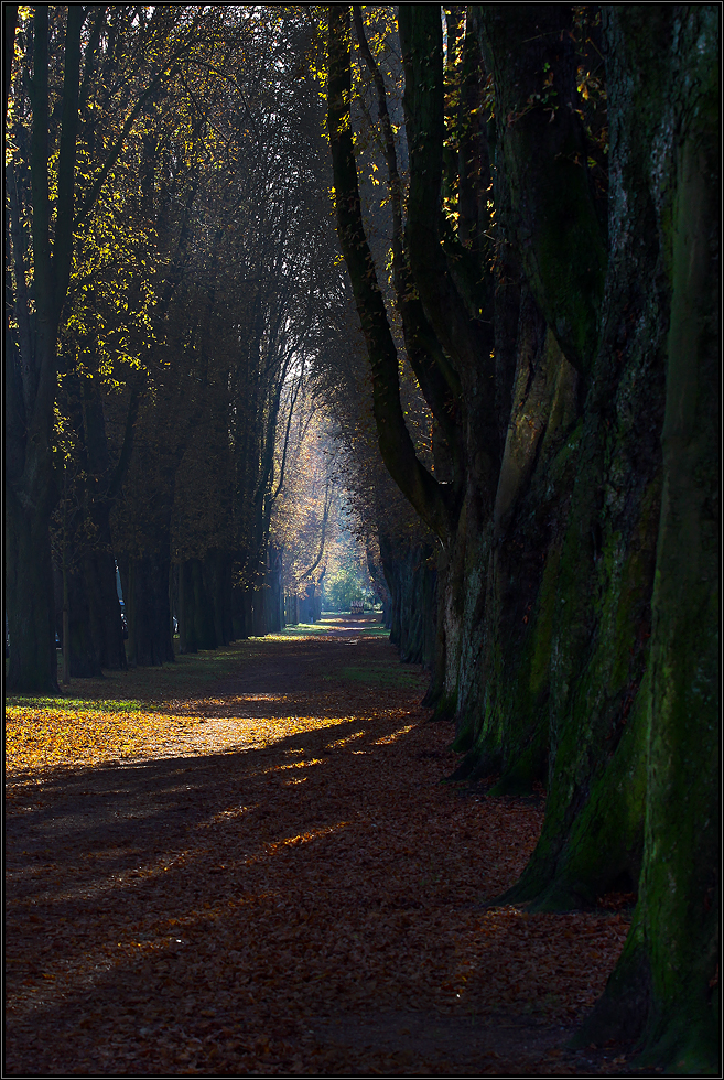 Altenbergstrasse - Düsseldorf