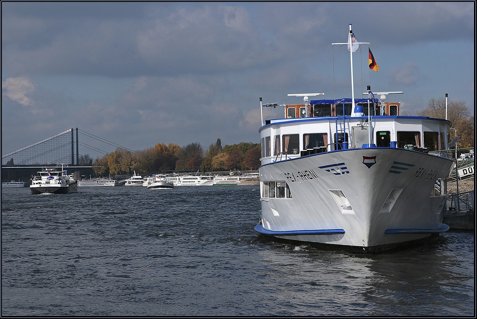 MS  "Rex Rheni"  in Düsseldorf