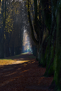 Altenbergstrasse - Düsseldorf